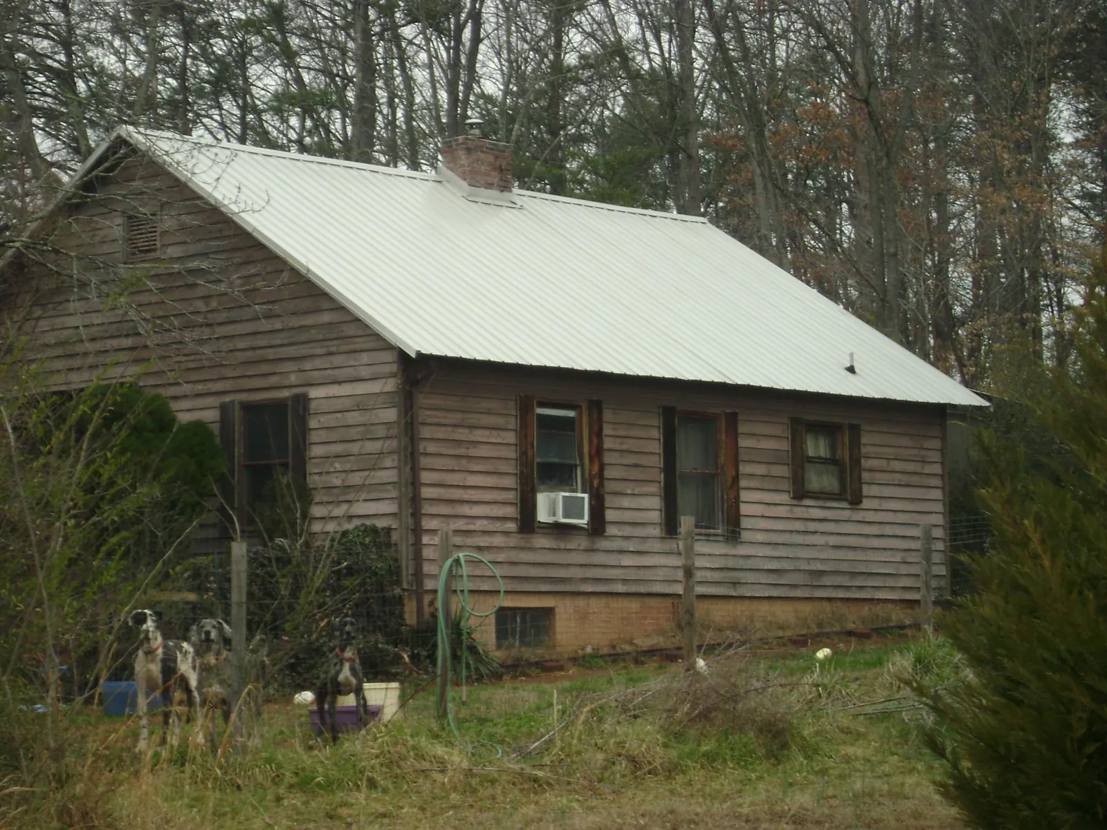 White metal roof on an old wood sided farmhouse, from a Metal Roof Installation job in Bruneau